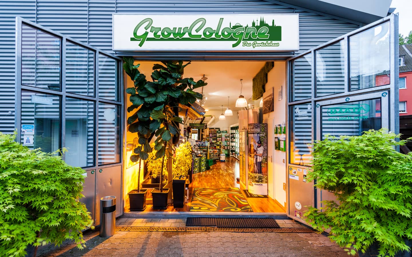 Growshop K&ouml;ln Ladeneingang in K&ouml;ln-Deutz, Siegesstra&szlig;e 6