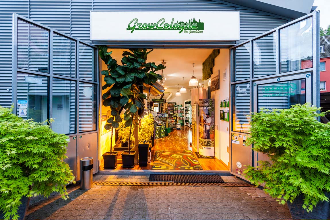 Eingang des Growshops an der Siegesstraße 6 in Köln