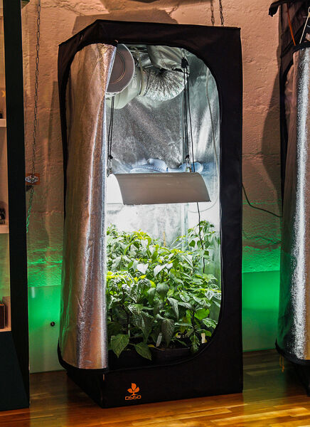 Growboxen und Growzelte im Growshop K&ouml;ln