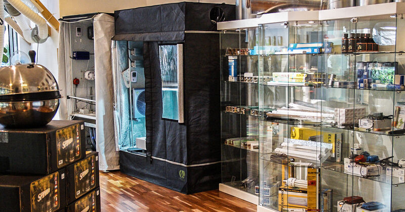 LED Grow Lampen im Growshop K&ouml;ln